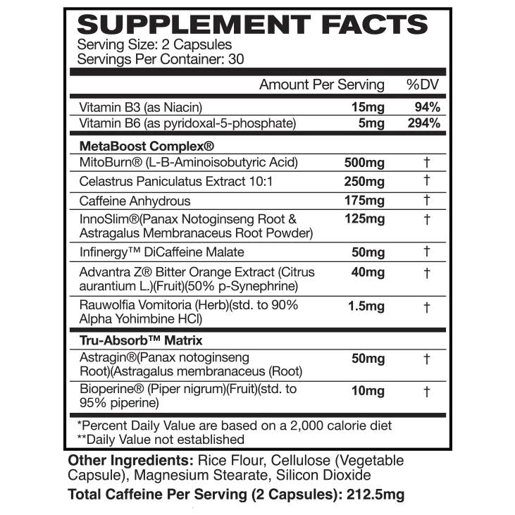AstroFlav Metaburn AM