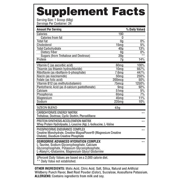 Gaspari Size On Intra Workout