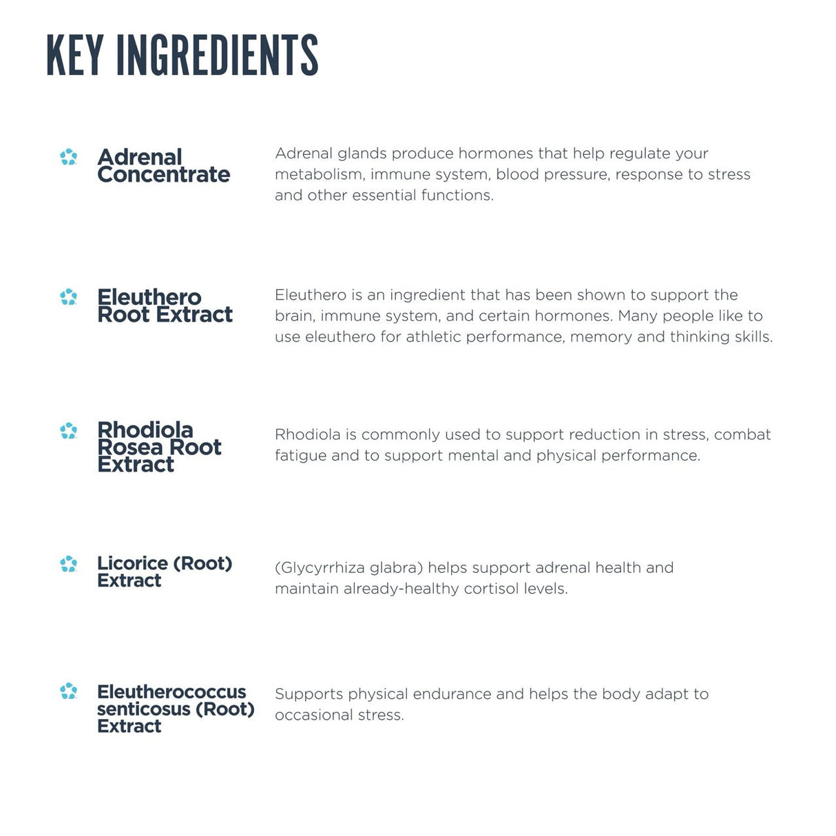 AdrenalCORE (Adrenal Support)