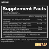 Dark Labs Built AF