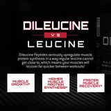 Unmatched DiLeucine
