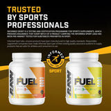 Raw Fuel Endurance