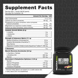 NutraBio Reload Post Workout